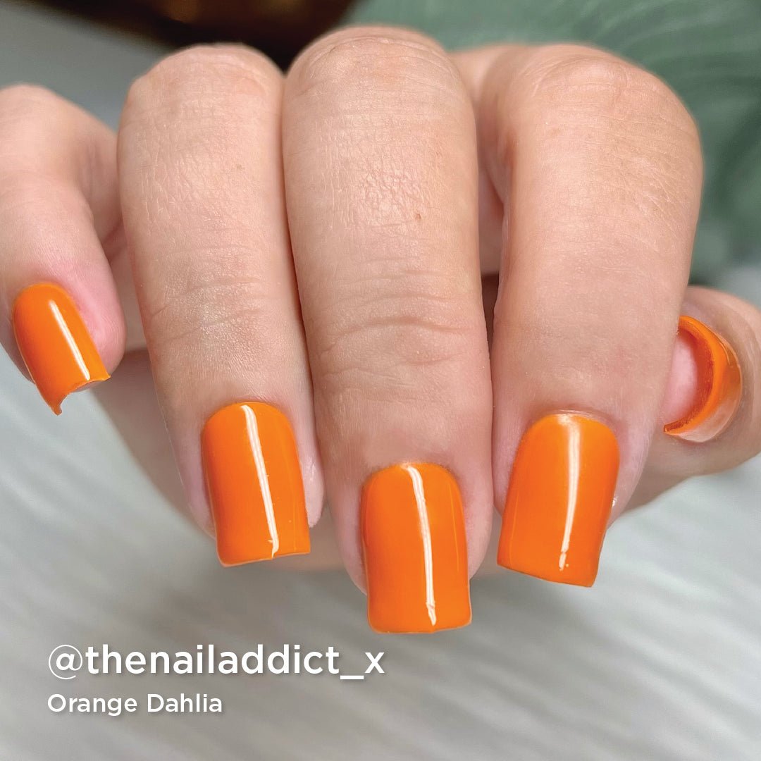 1030 Orange Dahlia - Bio Seaweed Gel USA