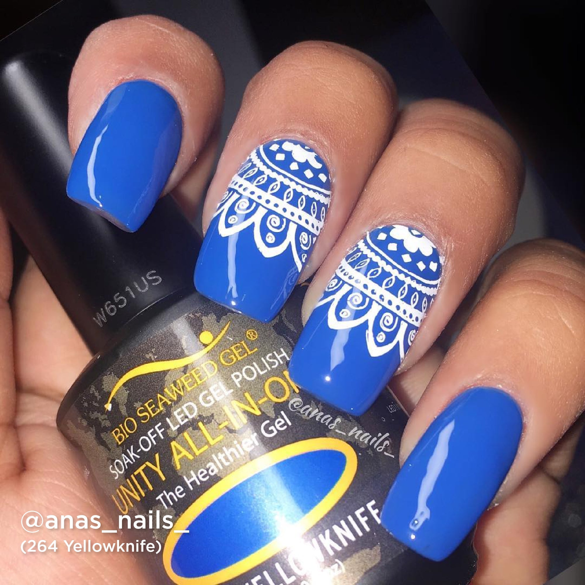 264 Yellowknife - Bio Seaweed Gel USA