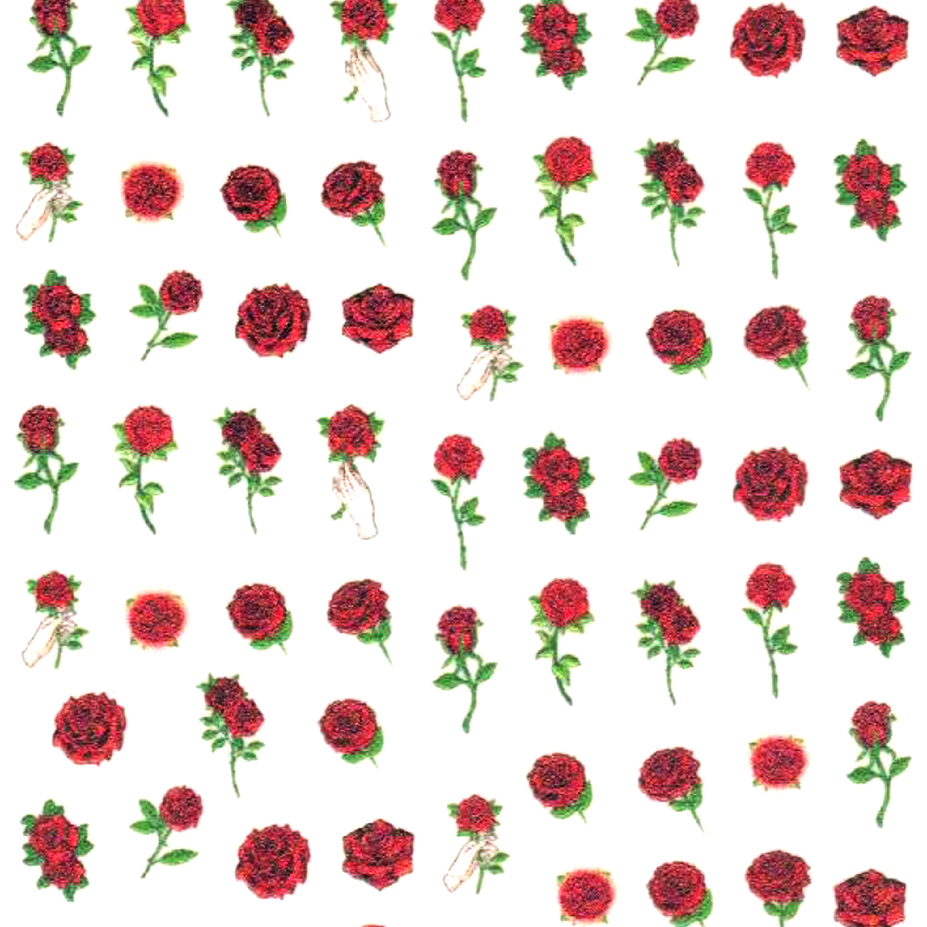 Floral Nail Art Stickers - Bio Seaweed Gel USA